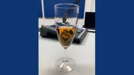 Bildungsfenster Jubiläum