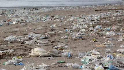 Plastikmüll am Strand_Foto H. Hacha auf Pixabay
