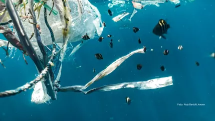 Plastikmüll im Meer_ Photo by Naja Bertolt Jensen on Unsplash