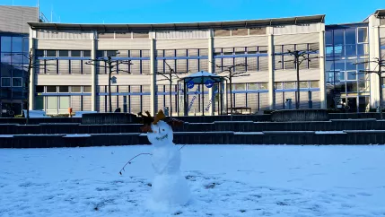 Snowman