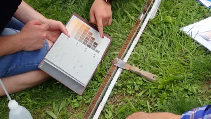 Blockseminar Nachhaltigkeit und Bodenschutz, Hamer