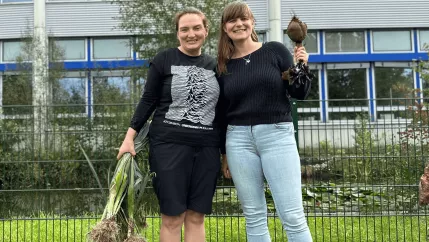 KLUGER Citizen Science Versuch Lauchernte - Antonini, Gutmann 1