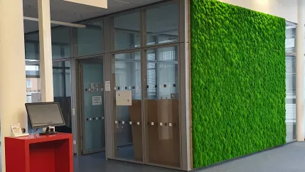 Bibliothek Rheinbach Mosswand