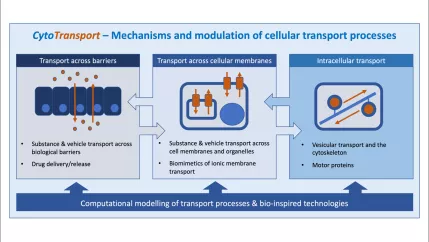 CytoTransport-Grafik