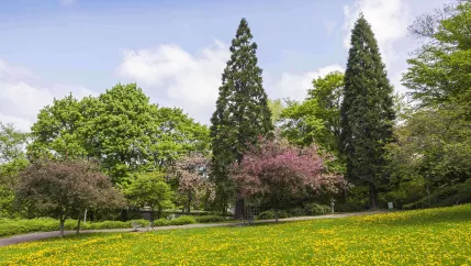 Stadtpark Colourbox 17796440