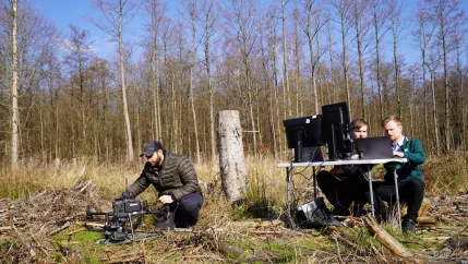 Garrulus Kottenforst Fotoshoot 08032024 Foto Pascal Schroeder_22n