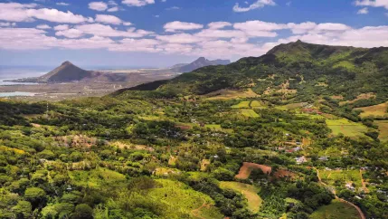 Landwirtschaft Afrika (INTERFACES Workshops)