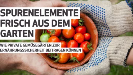 17Ziele Blogbeitrag Spurenelemente frisch aus dem Garten