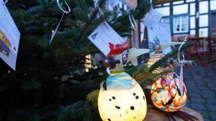 Wunschbaum Start Rheinbach 29112024 Foto HBRS Pascal Schroeder_01