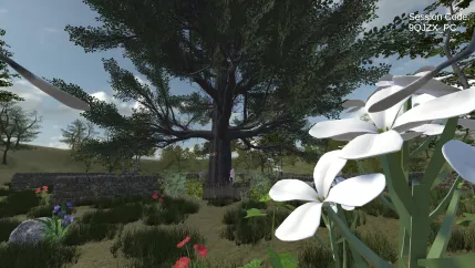 VR Schmetterlinge Projekt IVC