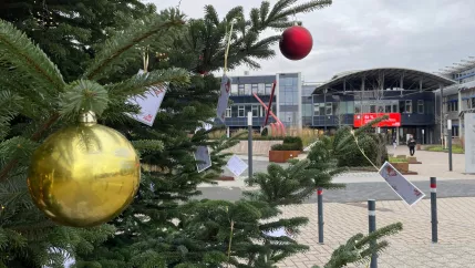 2025-11-27 Wunschbaum Start StA bearb 7b Foto Daniela Greulich