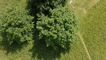 EcoTwin Testfläche H-BRS Drohne