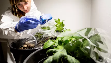 H-BRS ISF Doktorandin Sarah Vermeeren im Labor 2022 Foto H-BRS