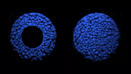 akti03n_logo_auf_ti-elektrode_foto_roman-grimmig.jpg (DE)