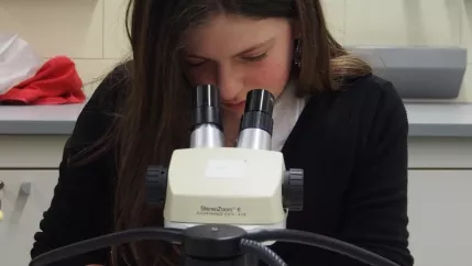 kinderuni_rheinbach_mikroskop_20160211_foto_m._flacke_p2110393.jpg (DE)