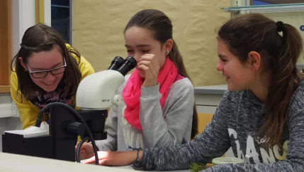 kinderuni_rheinbach_mikroskop_20160211_foto_m._flacke_p2110398.jpg (DE)