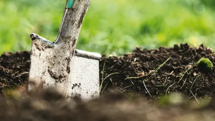 ctw_bw_gartenschaufel_adobestock_242591395.jpg (DE)