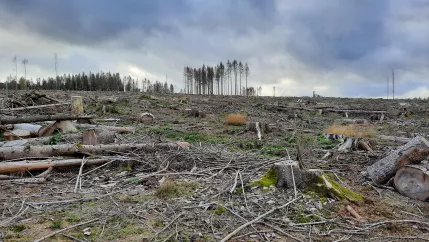 garrulus_projekt_pressemitteilung_01_2022_foto_johenneken.jpg (DE)