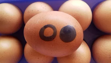 ostern_hslogo_Susanne_Patt-Bohlscheid.jpg (DE)