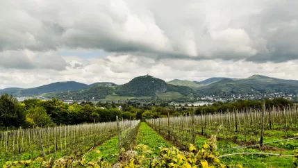 siebengebirge_landschaft_20170927_foto_eric_lichtenscheidt_11_fs22.jpg (DE)