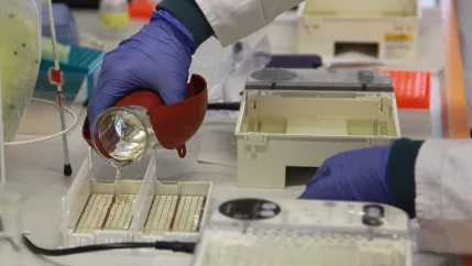 arbeit_mit_stammzellen_teasercut_foto_eva_tritschler_5640.jpg (DE)