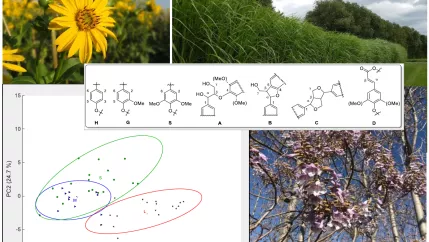 bmbf_biopolymermodell_graphical_abstract.png (DE)