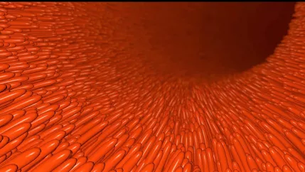 epithelium_cut_colourbox.jpg (DE)