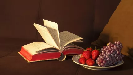 stillleben_sofa_buch_obst_gemeinfrei_teasercut.jpg (DE)