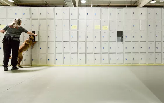 Image ISF Odorologie Spürhund Rhb Eric Lichtenscheid