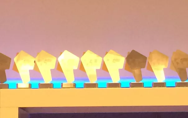 20160703_fbinf_ceremony_robocup_wm_2016_leipzig_kw_1_bild0020.jpg (DE)