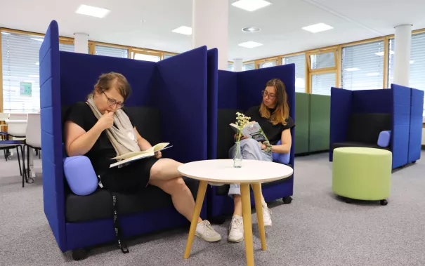 Bibliothek blaue Möbel