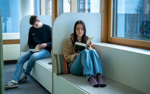 Fensterbänke in der Bibliothek