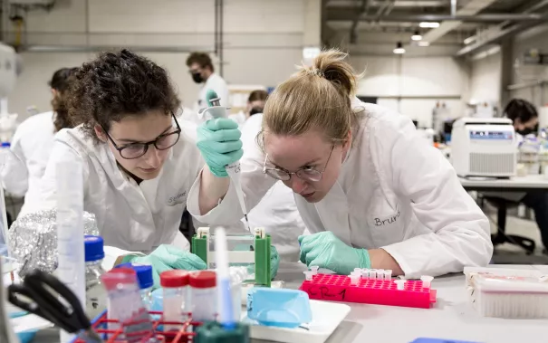 Naturwissenschaftliche Schnuppertage an der H-BRS in Rheinbach