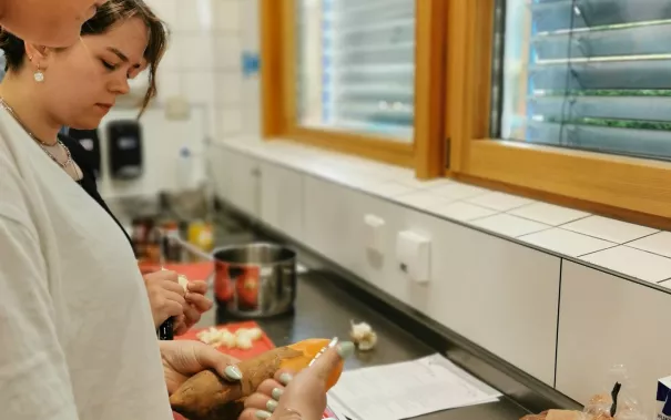 NEiS Kochtutorium 2023