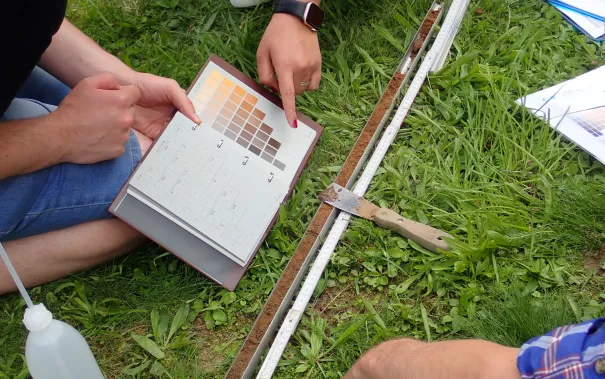 Blockseminar Nachhaltigkeit und Bodenschutz, Hamer