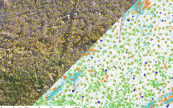 20231016_fbinf_Garrulus_seedplanning_Ahmad_Drak.png