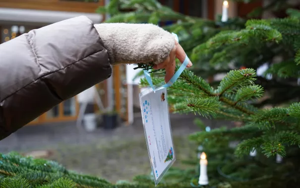 Start Wunschbaum Rheinbach 30. November 2023