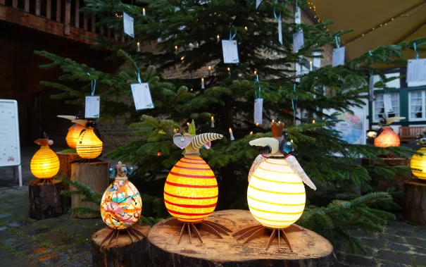 Start Wunschbaum Rheinbach 30. November 2023