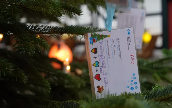 Start Wunschbaum Rheinbach 30. November 2023