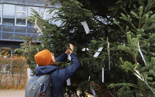 Wunschbaum_Sankt_Augustin Pressetermin