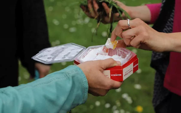 Campusgarten Fruehling mit Iris Gross StA 20250425 Foto Juri Kuestenmacher 28.JPG