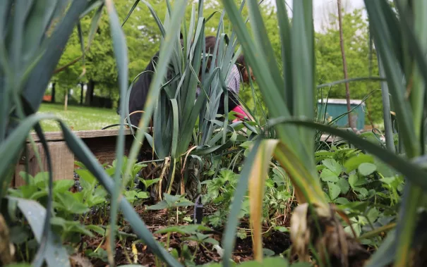 Campusgarten Fruehling mit Iris Gross StA 20250425 Foto Juri Kuestenmacher 42.JPG