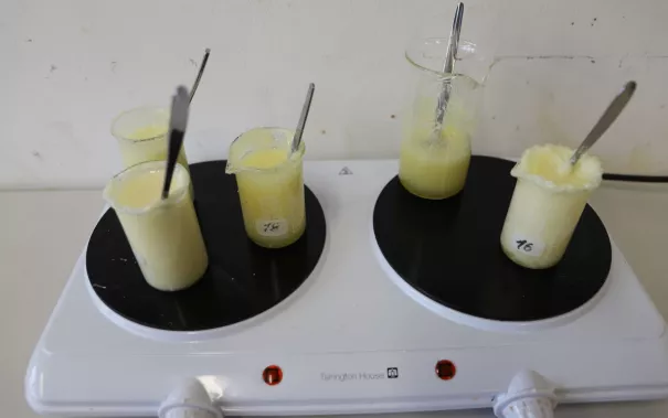 Kinderuni Gummibaerchen mit Guido Krause StA 20250403 Foto Caro Jahn 32.JPG