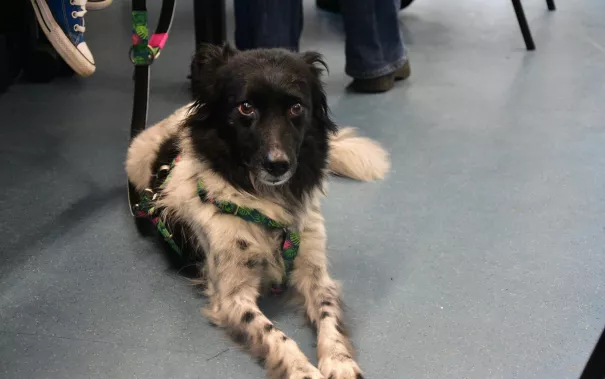 Tag des Offenen Projekts IWK StA 20260123 Foto Jonathan Schmitt 15.JPG