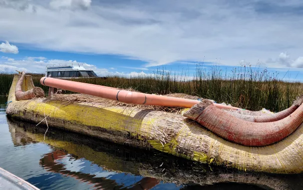 Wiltrud Terlau Austausch Peru 2026