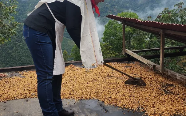 Austausch in Kolumbien 2026 IZNE