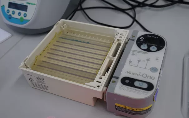 UniStem Day Rheinbach Mirle Schemionek 2026-03-20_Foto martin Schulz (100).JPG