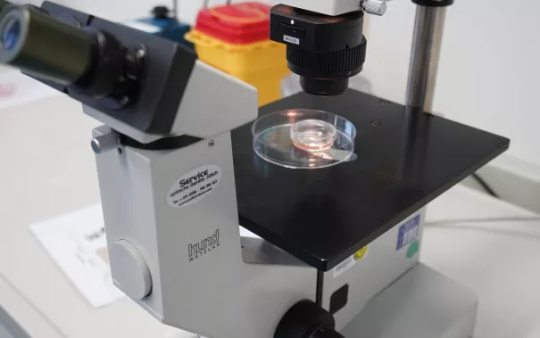 UniStem Day Rheinbach Mirle Schemionek 2026-03-20_Foto martin Schulz (160).JPG