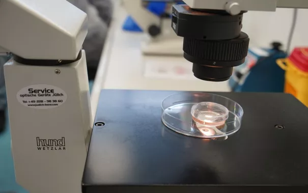 UniStem Day Rheinbach Mirle Schemionek 2026-03-20_Foto martin Schulz (88).JPG