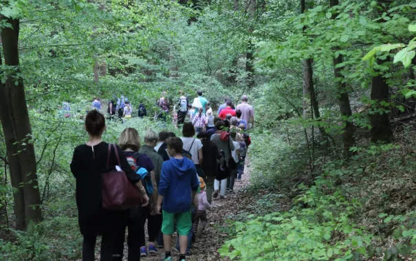 kinderuni_effelsberg_20160512_foto_e._tritschler_img_0405.jpg (DE)